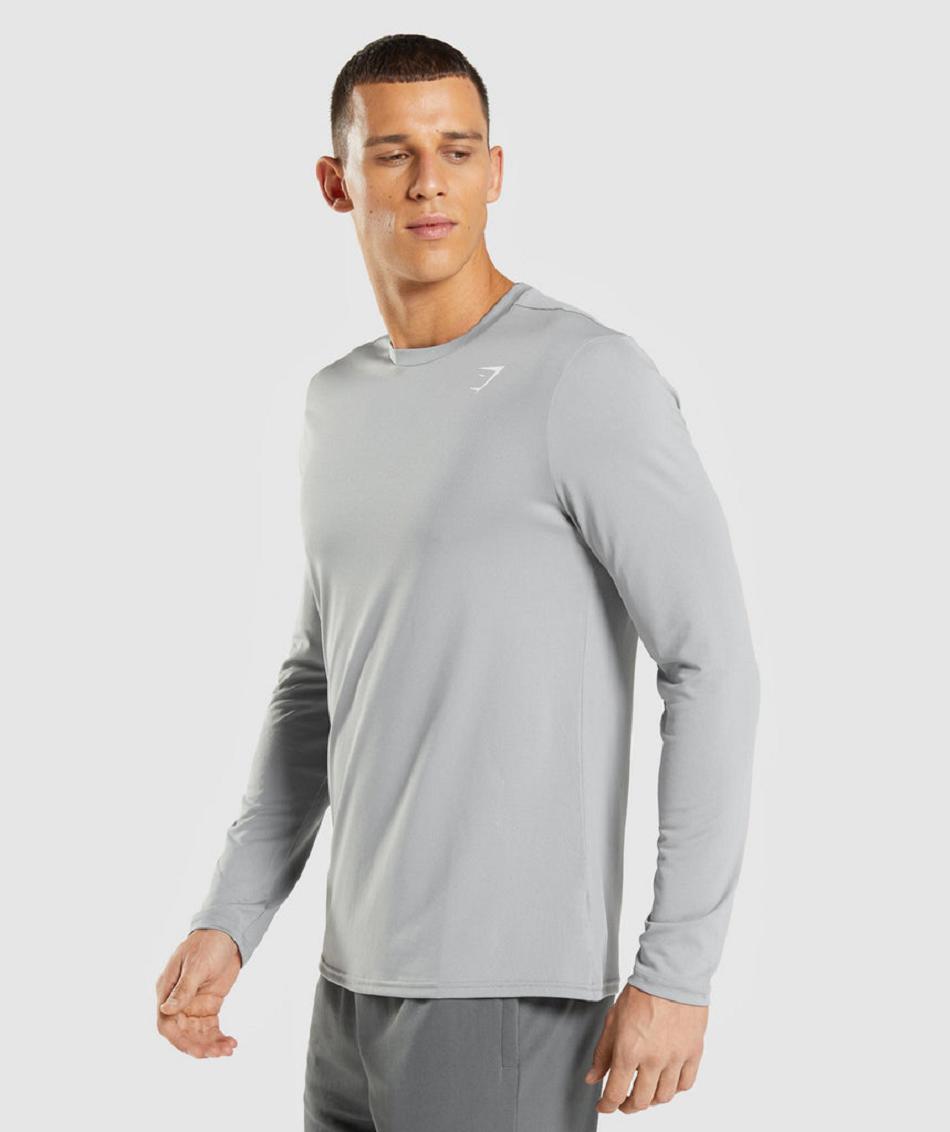 Gymshark Arrival Muške Dugi Rukav Sive | HR 2610NWY